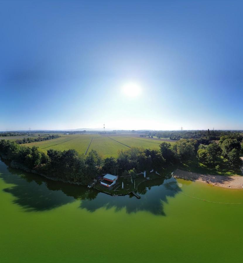 River View Near Frankfurt -- 3 Zimmer -- 4 Betten Und 1 Groesse Schlafcouch Hainburg Eksteriør bilde